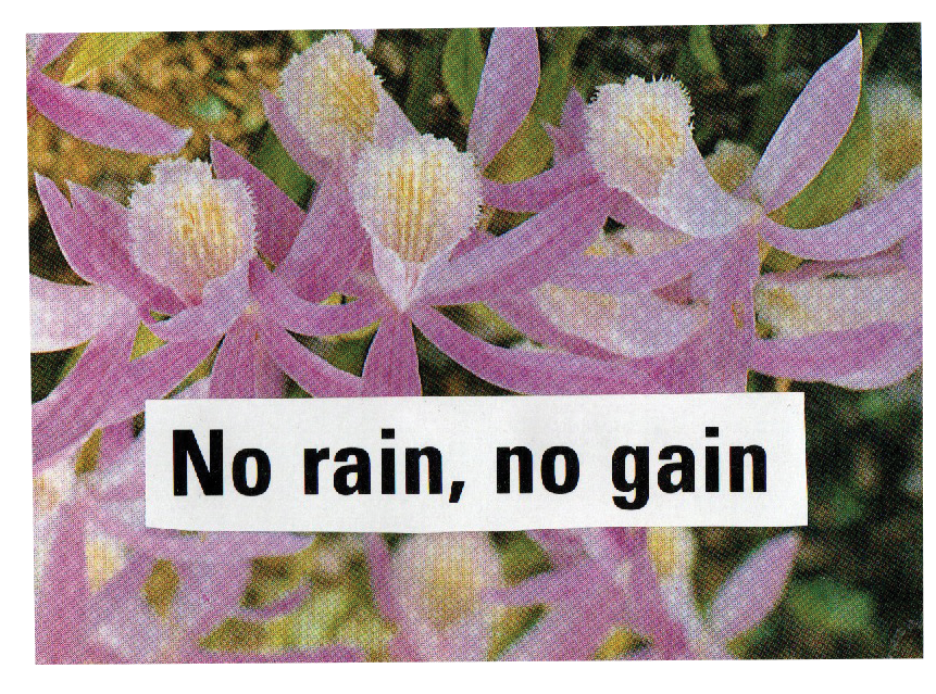 collage of text that says no rain no gain