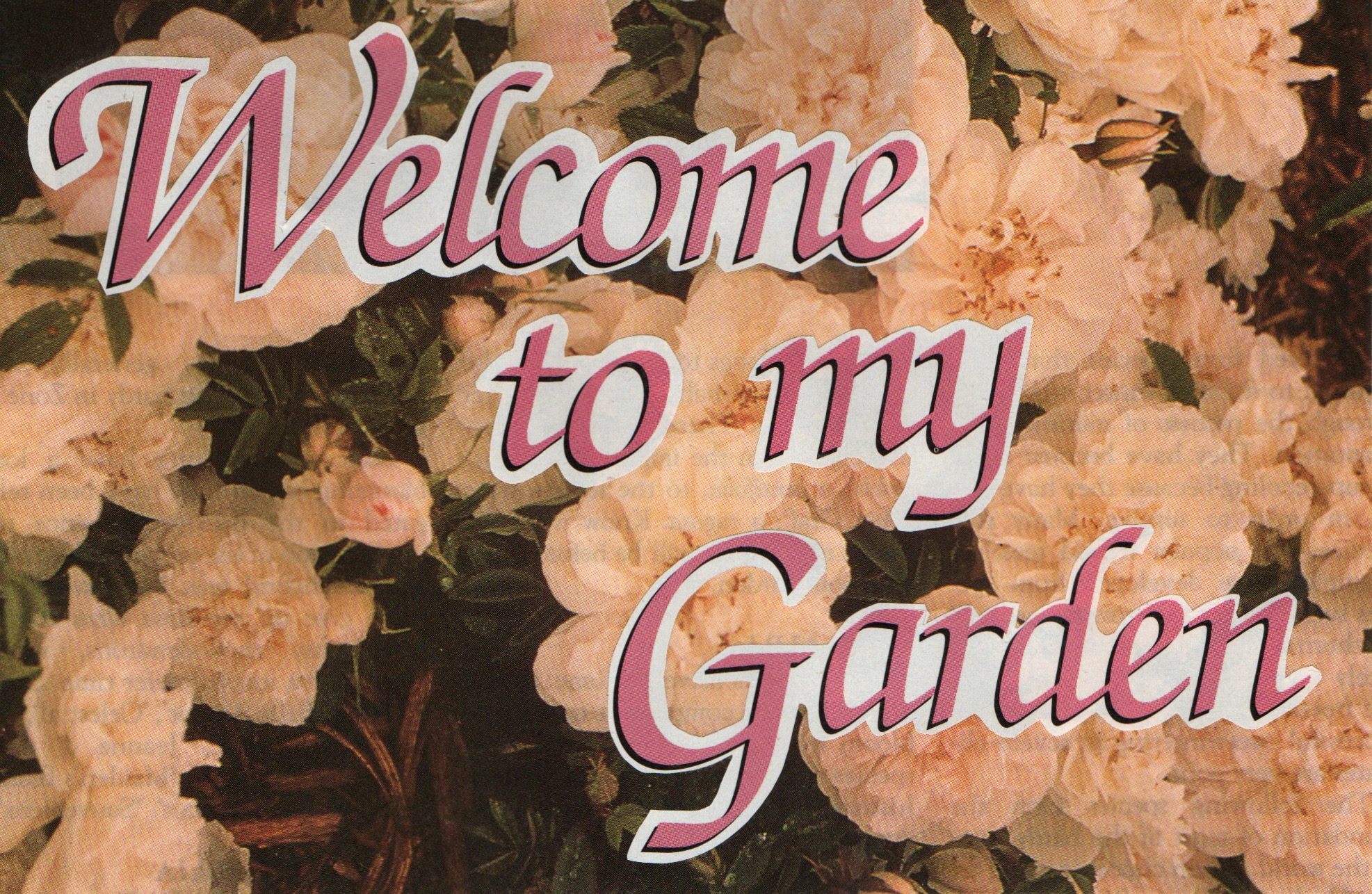 welcome to my garden text on flowers collage