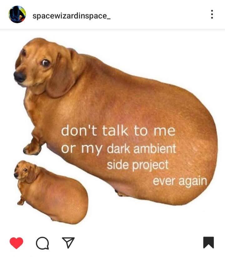 chubby dog meme