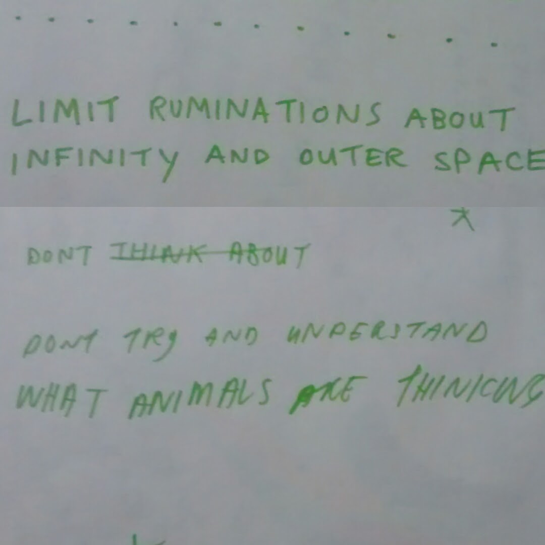 limit ruminations